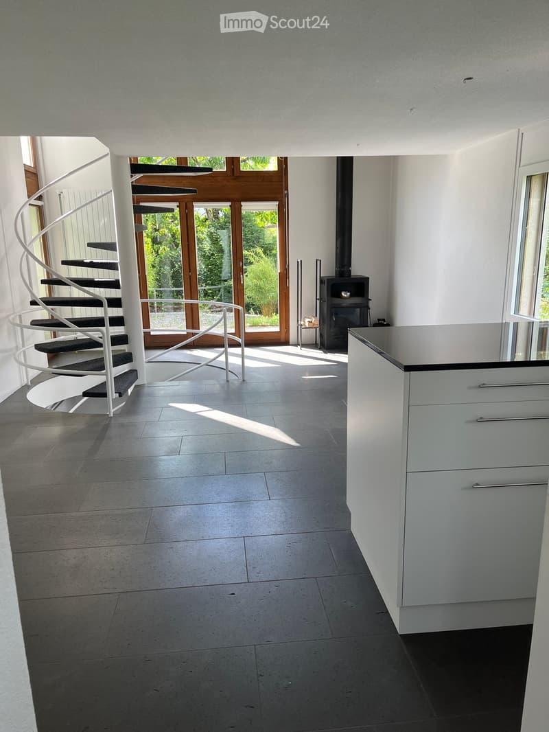 Modern hallway with a spiral staircase, large glass doors leading to a garden, and a fireplace in the corner.
