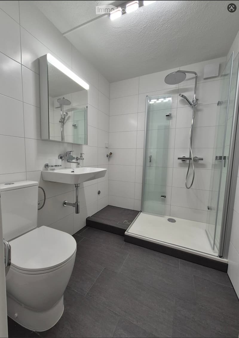 Modern bathroom with white tiles, a toilet, a sink with a mirror, and a glass-enclosed shower with a handheld showerhead.
