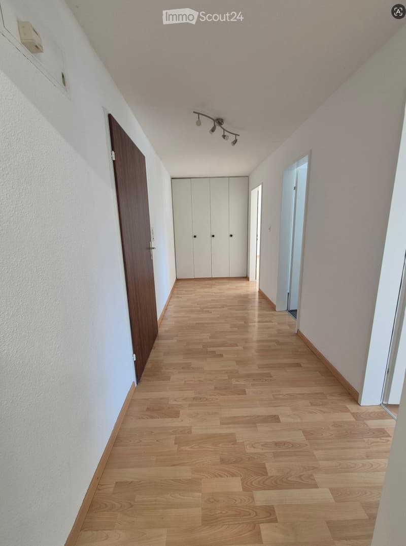 A clean, well-lit hallway with light wooden flooring, white walls, and a built-in white closet. A wooden door is visible on the left, and a track light fixture hangs from the ceiling.