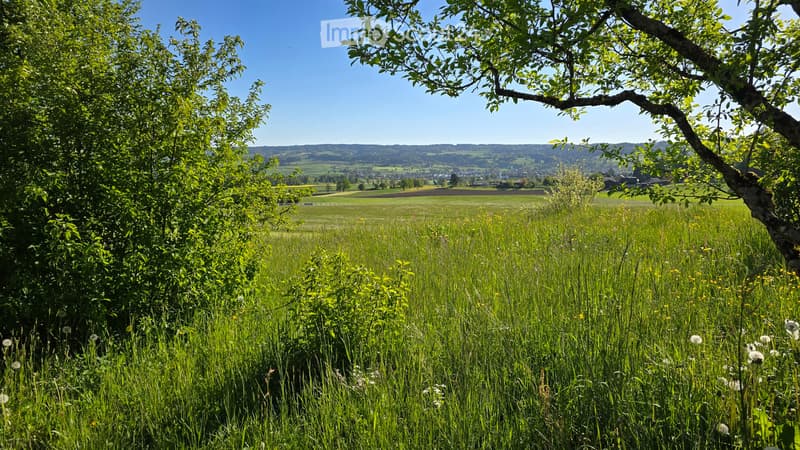 Garden / Outdoor Area. A lush green meadow with tall grass and wildflowers, surrounded by trees and overlooking a scenic valley with distant hills and a small village.