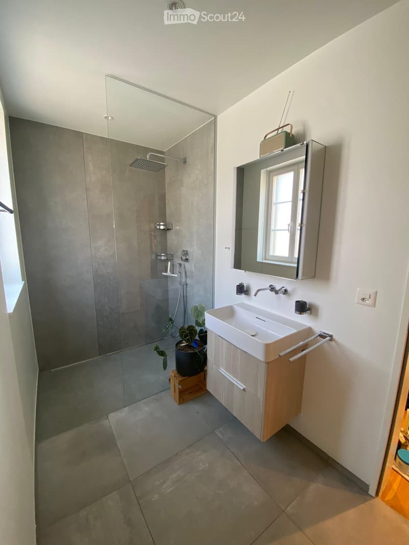 Modern bathroom with a white sink, wooden cabinet, large mirror, glass-enclosed shower, and a small potted plant near the shower area.