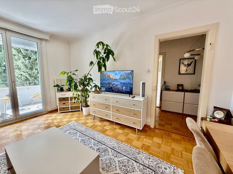 A modern living room with a television, a large potted plant, a white fan, a wooden cabinet, and a small table with chairs near a sliding glass door leading to a balcony.