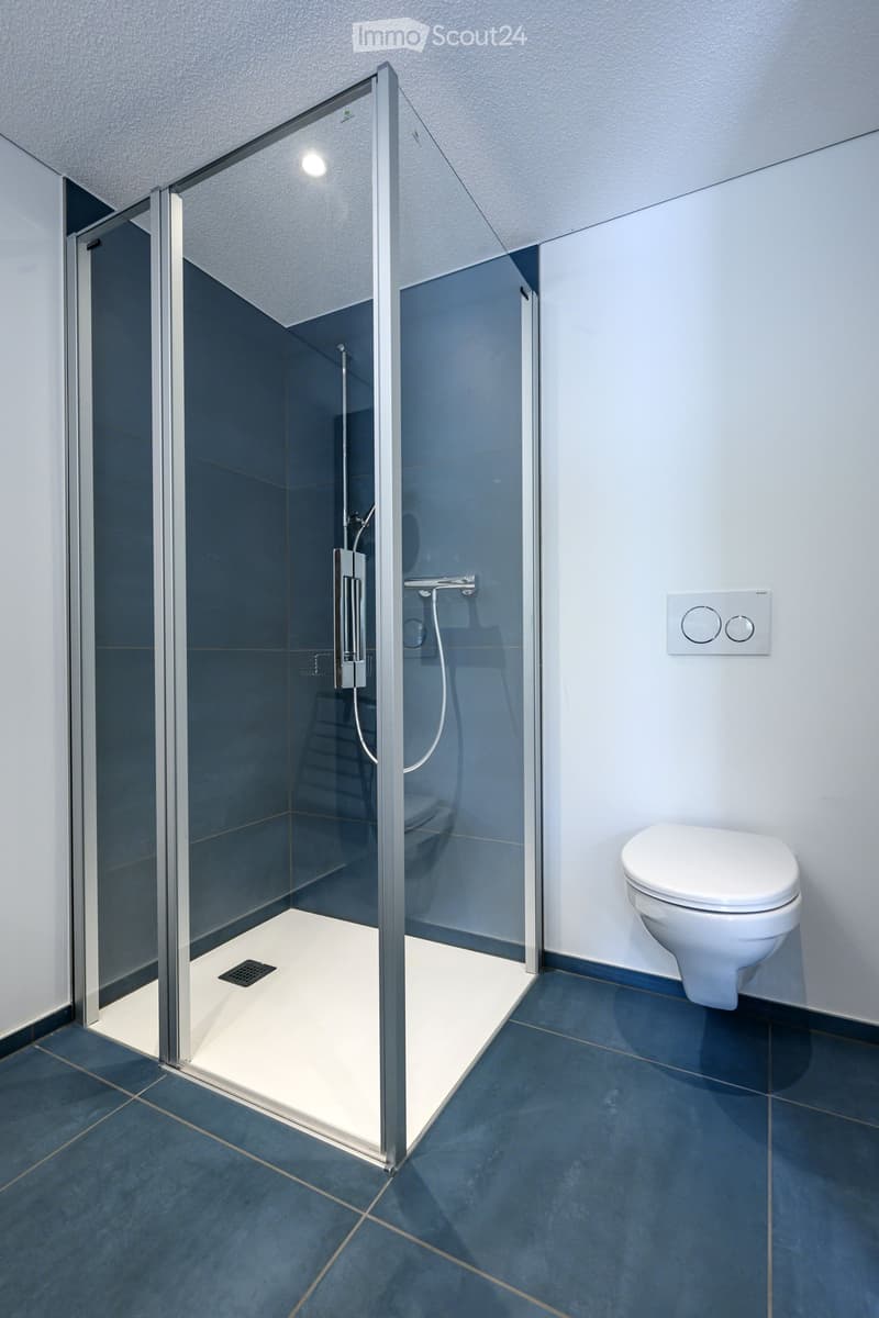 Modern bathroom with a glass-enclosed shower stall and a white toilet. The shower has a sleek, contemporary design with a glass door and a modern control panel on the wall.
