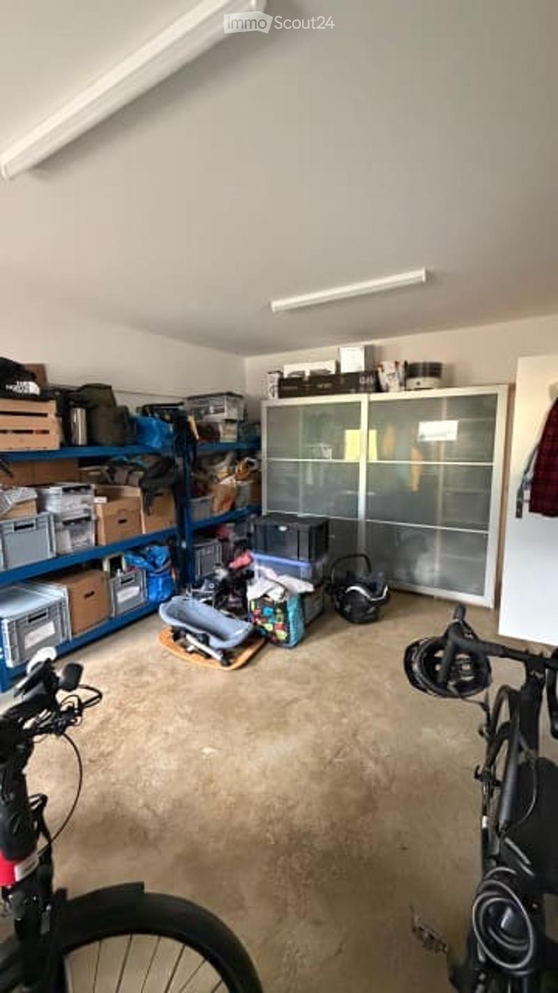 A well-organized garage with blue shelving units holding various storage boxes and items. A bicycle is positioned near the entrance, and a large cabinet with glass doors is visible.
