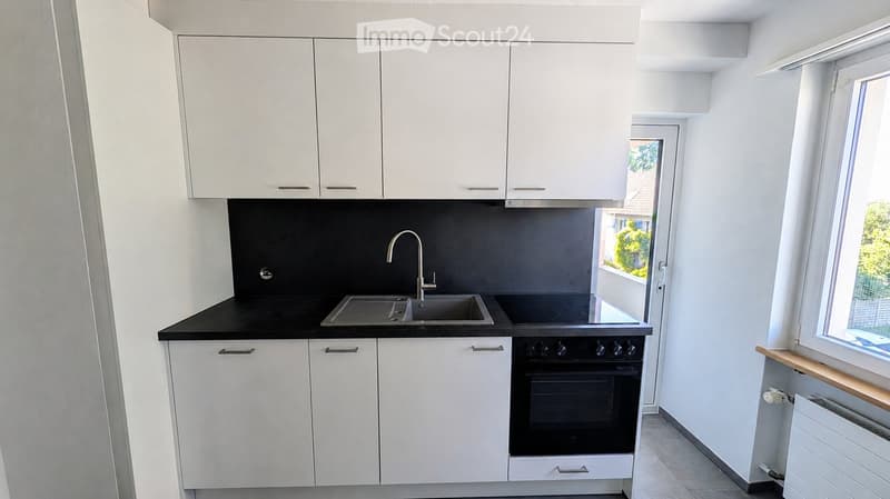 Modern kitchen with white cabinets, black countertop, stainless steel sink, and built-in oven.