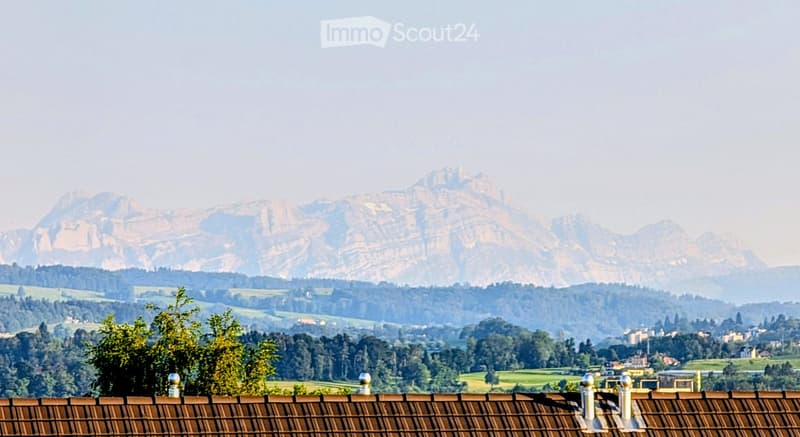 View from a rooftop terrace showing a panoramic landscape with rolling hills, dense forests, and distant mountains under a hazy sky.
