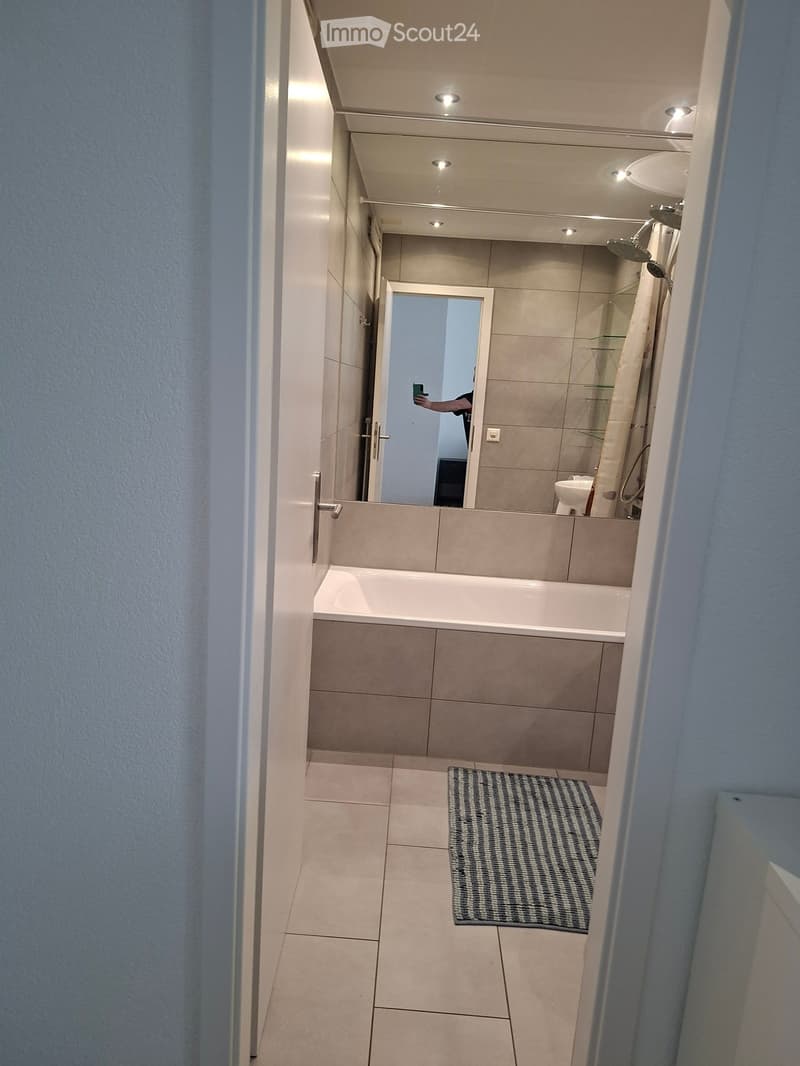 Modern bathroom with a bathtub, shower, sink, and a patterned rug on the floor.