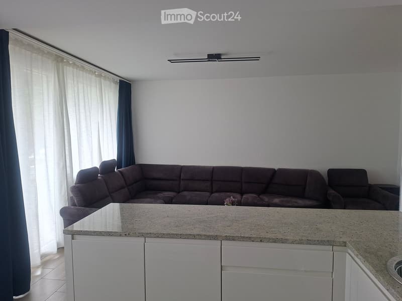 Modern living room with a dark brown sectional sofa, a white cabinet, and a light-colored coffee table.