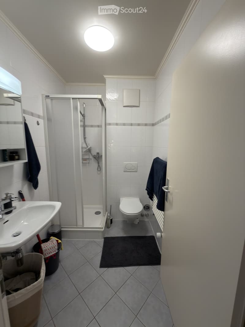 Modern bathroom with a white sink, toilet, and glass-enclosed shower. Features a round ceiling light, tiled walls, and a dark towel hanging on the door.
