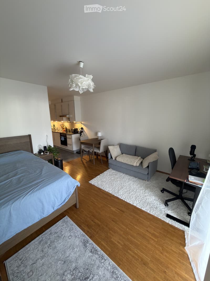 A modern, open-concept living space with a grey sofa, a wooden bed, a small dining table, a desk, and a compact kitchen area with cabinets and appliances.