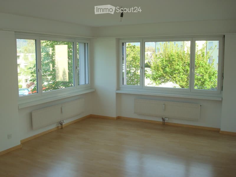 Empty room with wooden flooring, large windows, radiators, and a light fixture on the ceiling.