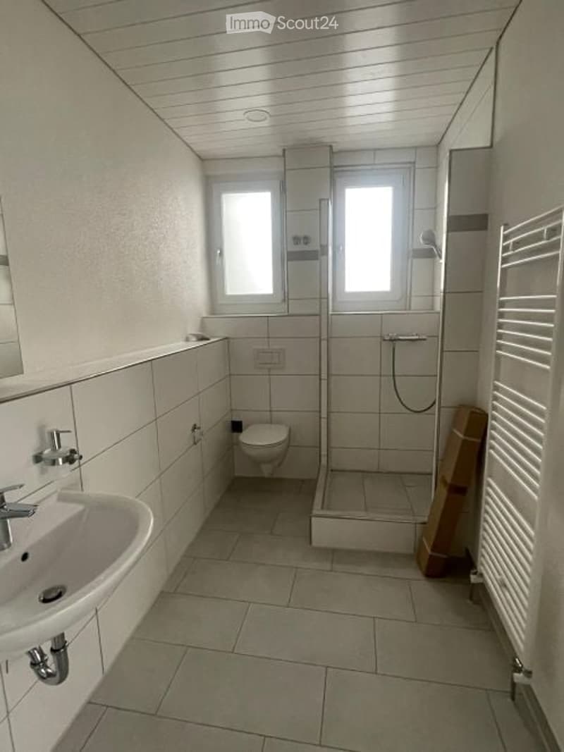 Modern bathroom with white tiled walls and floor, a sink, toilet, shower, and a mirror. The shower has a glass enclosure and a handheld showerhead. A radiator is mounted on the wall.