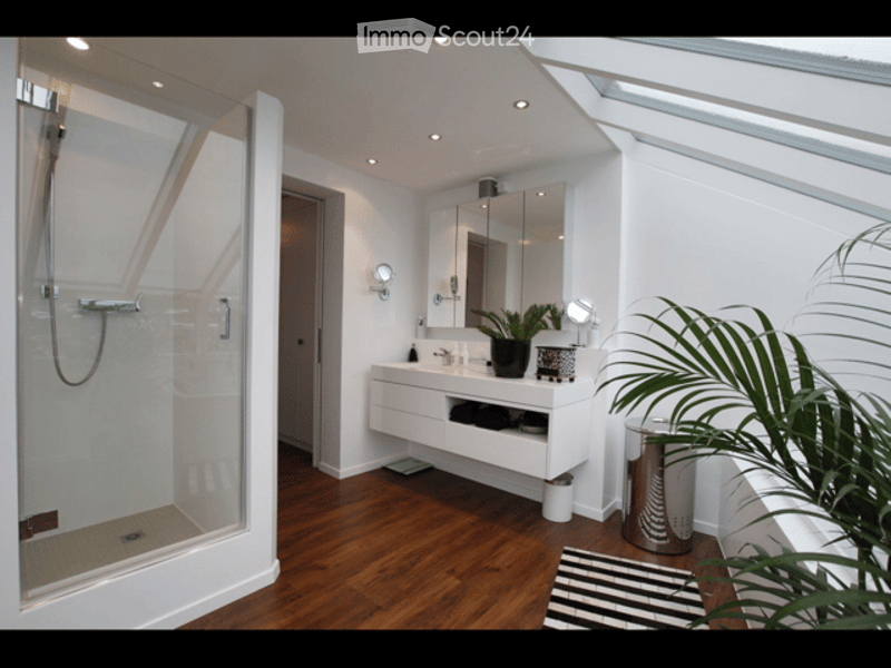 Modern bathroom with a glass-enclosed shower, white vanity with a mirror, and a potted plant on the floor.