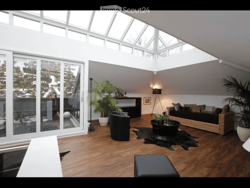 Bright living room with large windows and skylights, wooden flooring, a black cowhide rug, a sofa, armchair, coffee table, and potted plants.