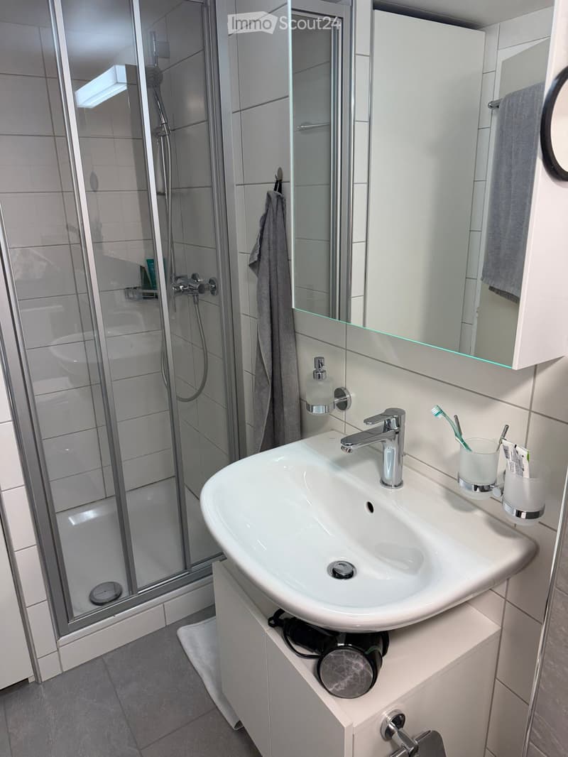 Modern bathroom with a white sink, chrome faucet, mirror, toothbrush holder, and a glass-enclosed shower with a modern showerhead.