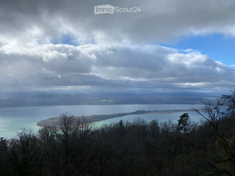 A panoramic view of a lake surrounded by hills and trees, with a partly cloudy sky overhead.