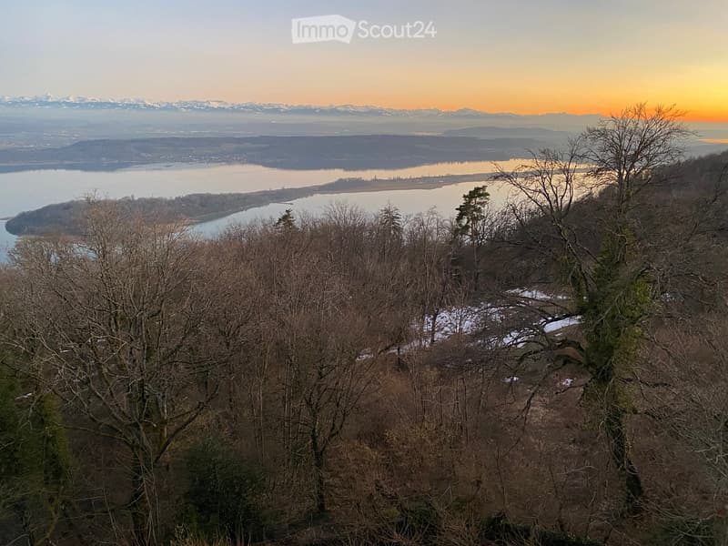 Panoramic view of a lake and distant mountains at sunset, with bare trees in the foreground.