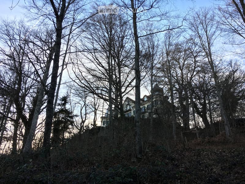 A two-story house partially obscured by tall, leafless trees, with visible windows and a balcony on the upper level.
