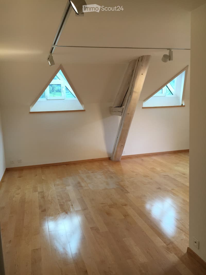 Empty attic room with wooden flooring, white walls, and skylight windows allowing natural light to enter.