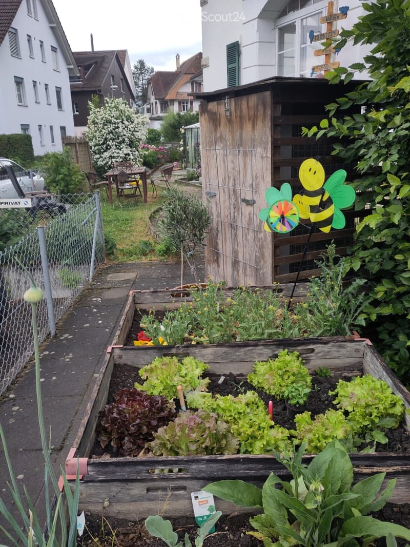 Garden with raised wooden beds filled with lettuce, herbs, and vegetables, surrounded by a wooden shed, chairs, and decorative bee and pinwheel ornaments.