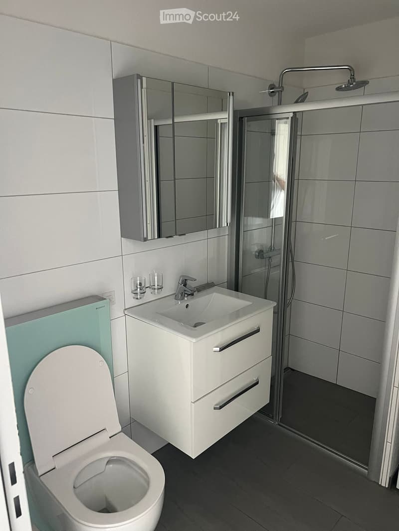 Modern bathroom with white tiles, a white sink with a chrome faucet, a toilet, a mirrored cabinet, and a glass-enclosed shower with a chrome showerhead.