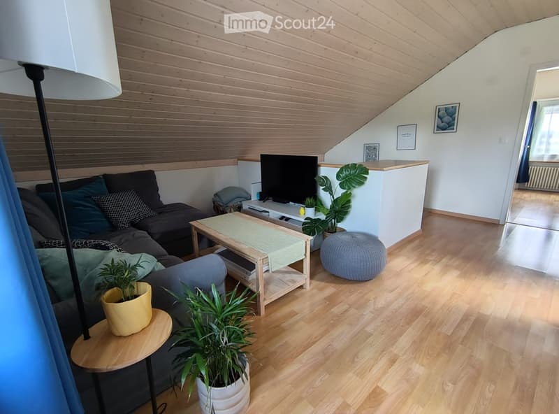 Modern living room with wooden flooring, slanted wooden ceiling, sofa, coffee table, potted plants, and a television on a stand.