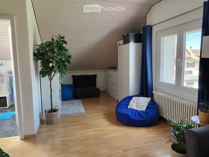 Cozy living space with wooden flooring, a sofa, a bean bag chair, potted plants, a cabinet, and a radiator.