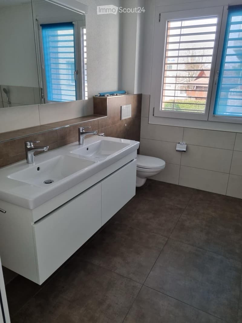 Modern bathroom with a double sink, chrome faucet, toilet, large mirror, and built-in cabinetry.