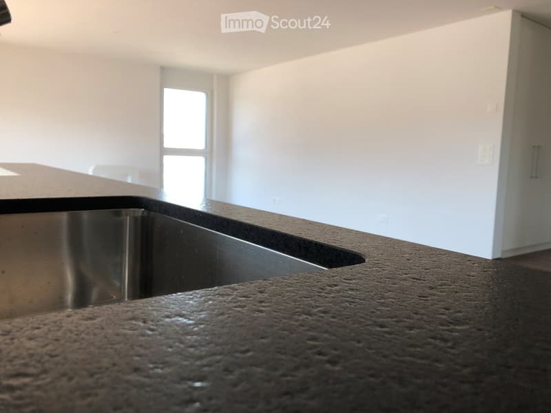 large stainless steel sink, granite countertop, white walls, large windows