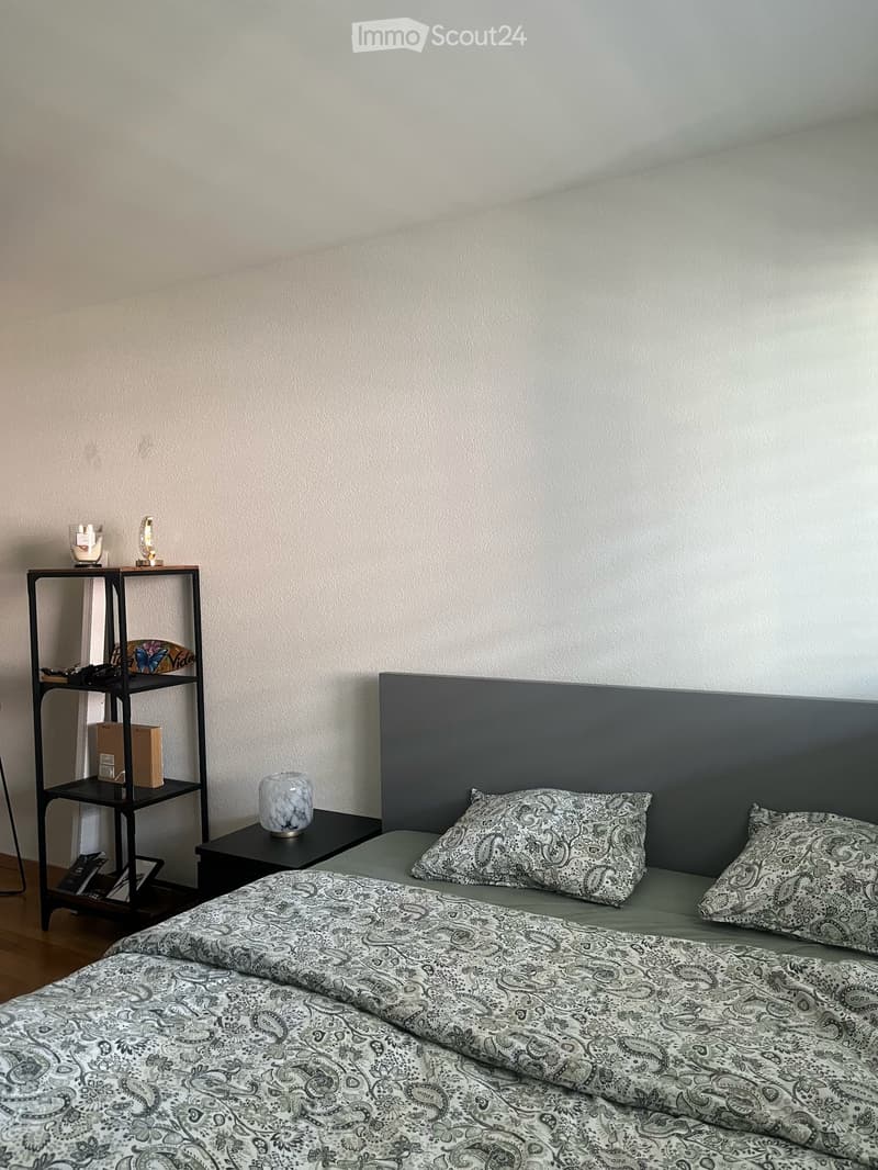 Charmantes 2.5-Zimmer-Wohnung in Freiburg (5)