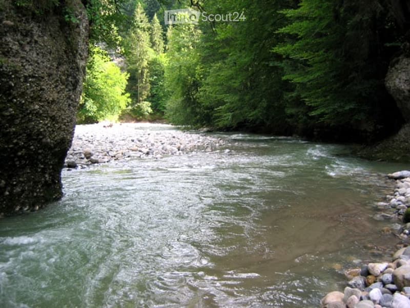 A serene river flows through a lush, green forest, surrounded by tall trees and rocky banks.