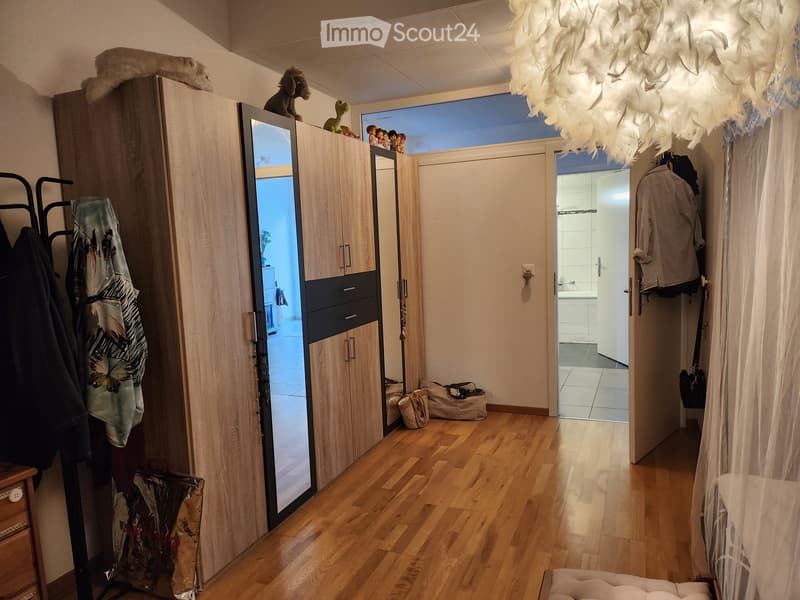 A well-lit hallway with wooden flooring, leading to a bathroom and a closet area. The hallway features a hanging decorative light fixture, a coat rack with jackets, and a small shelf with toys on top of the closet.