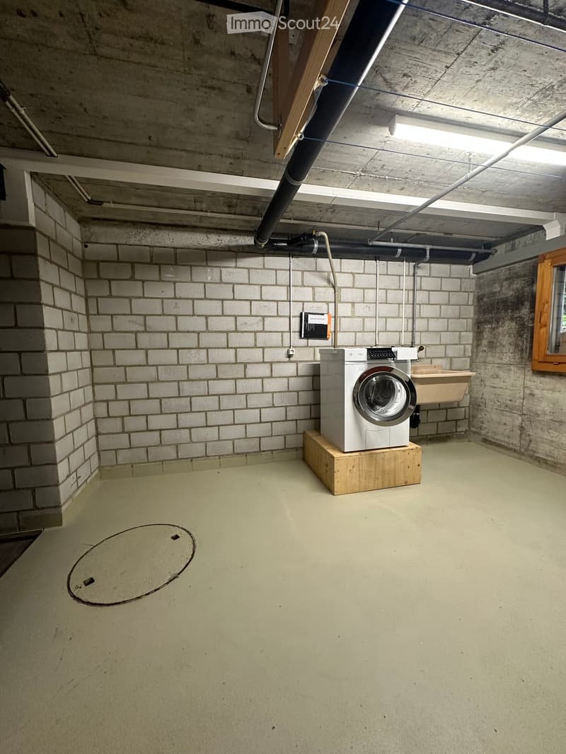 Underground laundry room with a washing machine on a wooden platform, a sink, exposed brick walls, and concrete ceiling with visible pipes.