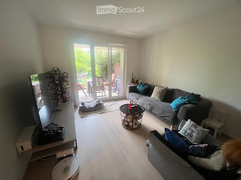 Bright living room with wooden flooring, large sliding glass doors leading to a patio, a grey sofa with blue and striped pillows, a coffee table with a book and bottle, a dog bed, a ball rack, and a TV on a stand.