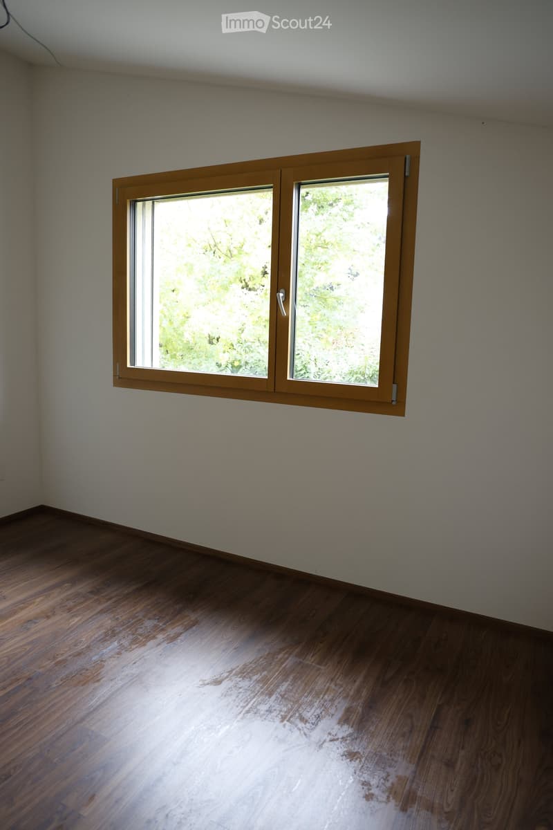 empty room, wooden floor, white wall, double window, natural light