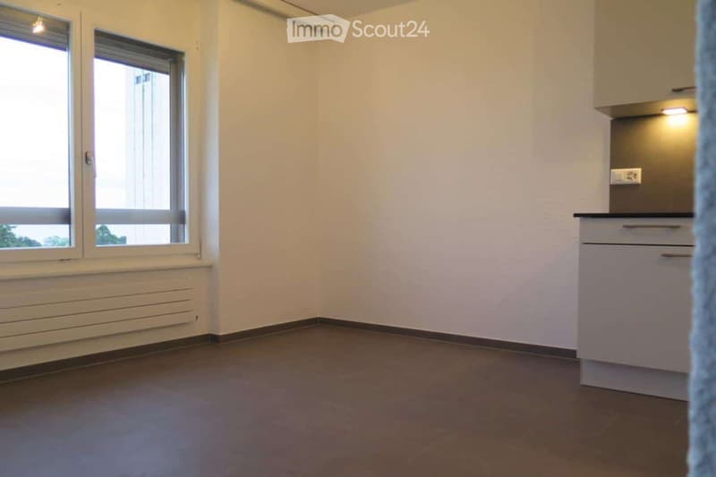 Empty room with white walls, grey floor, two windows, radiator, and small built-in cabinet with drawers.