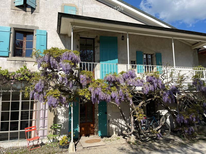 House. Two-story house with teal shutters, a balcony, and a tree with purple blossoms. A bicycle is leaning against the tree, and there are two folding chairs and a small flower pot near the entrance.