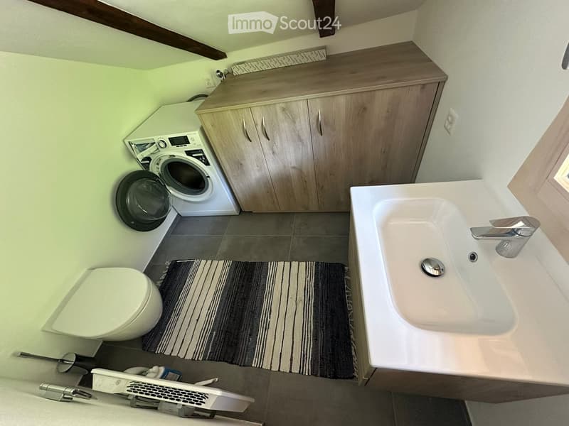 Modern bathroom with a sink, toilet, washing machine, and wooden cabinet.