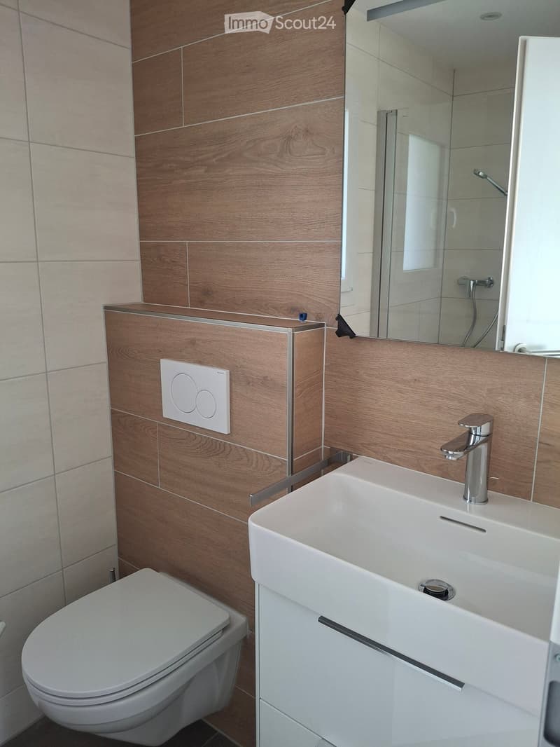 Modern bathroom with a white toilet, a white sink with a chrome faucet, a large mirror, and a wooden cabinet with a control panel.