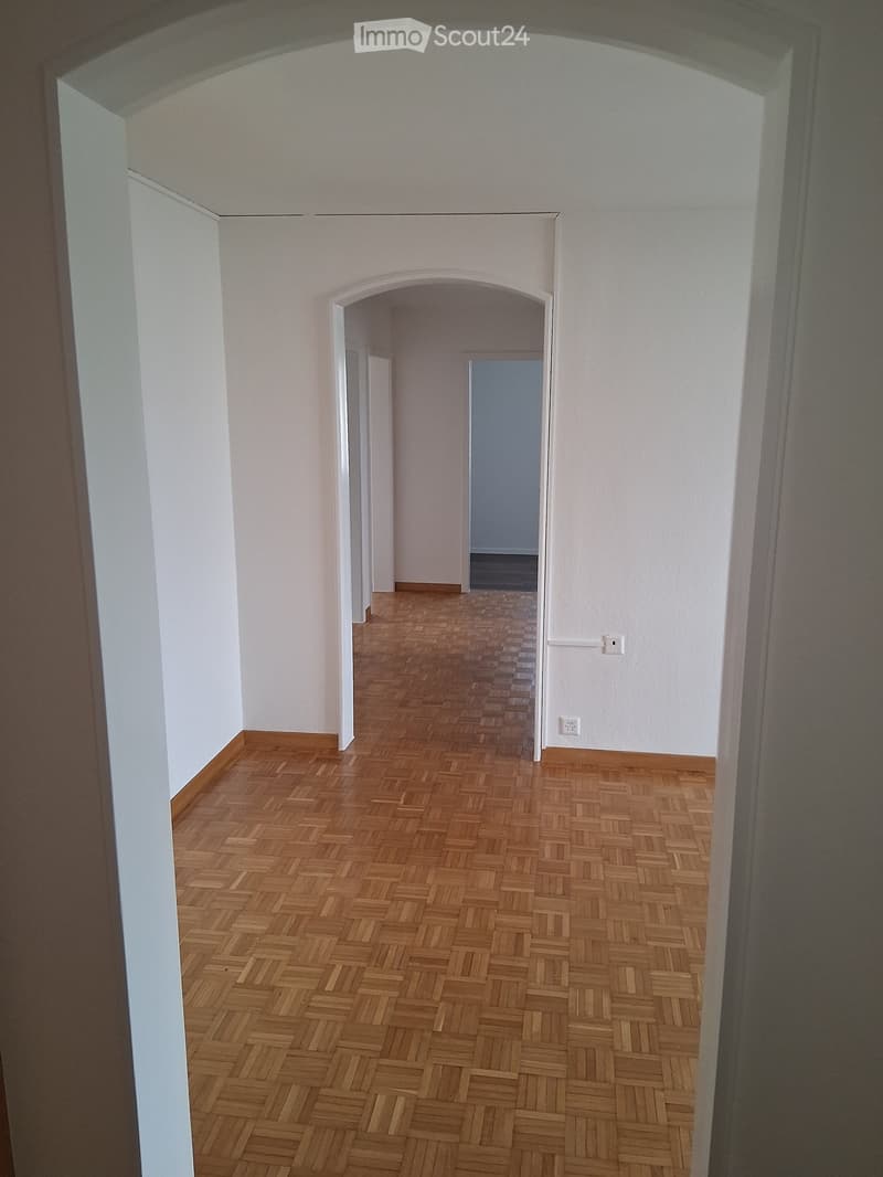 Empty hallway with wooden herringbone flooring, white walls, and arched doorways leading to other rooms.