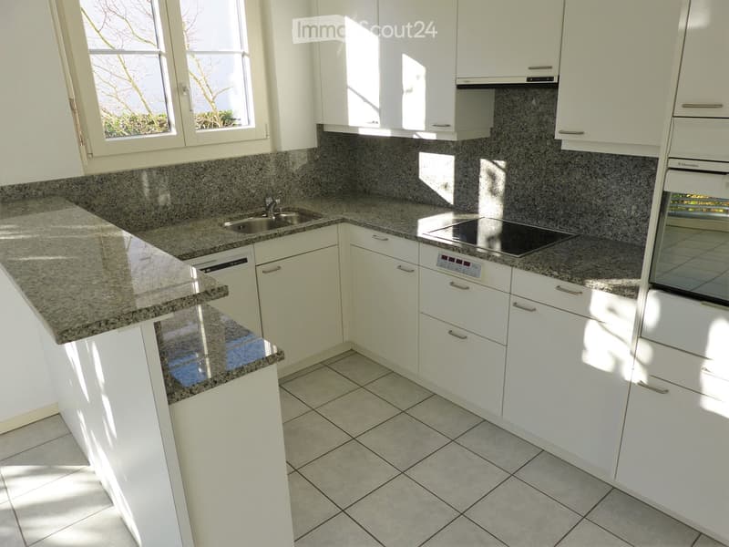 Modern kitchen with white cabinets, granite countertops, a sink, dishwasher, and induction cooktop.