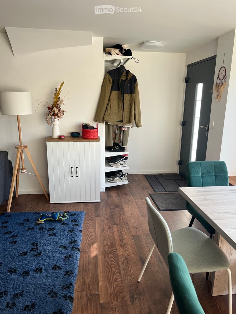 A modern, well-lit room with wooden flooring, a white cabinet, a floor lamp, a small table with a vase and decorative items, a blue rug, and a coat rack with jackets and shoes.