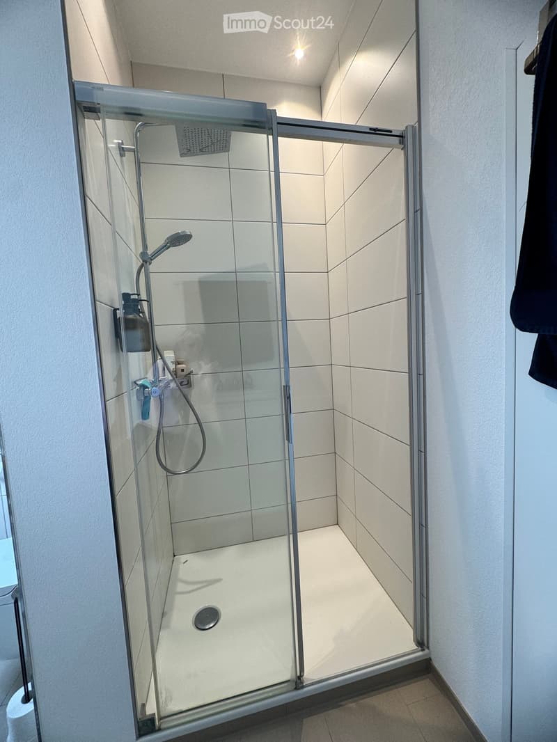 Modern shower stall with glass enclosure, tiled walls, and a handheld showerhead. Toilet visible to the left.