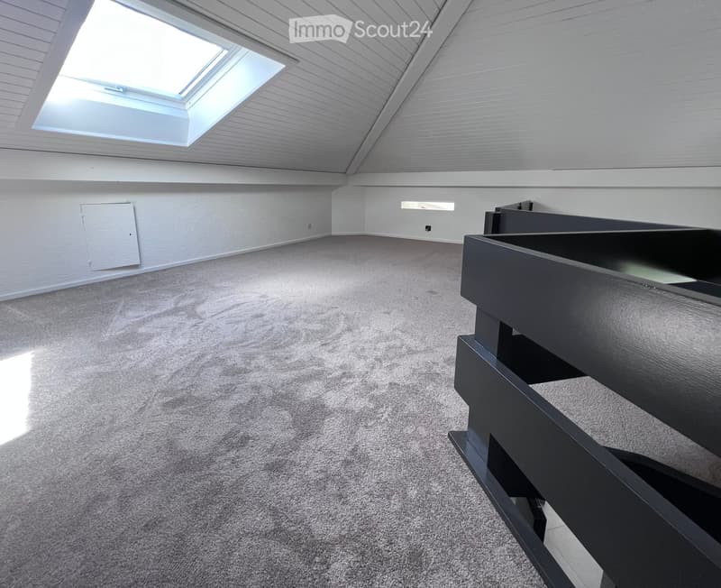 Empty room with grey carpet, white walls, and a skylight window. No furniture or equipment visible.