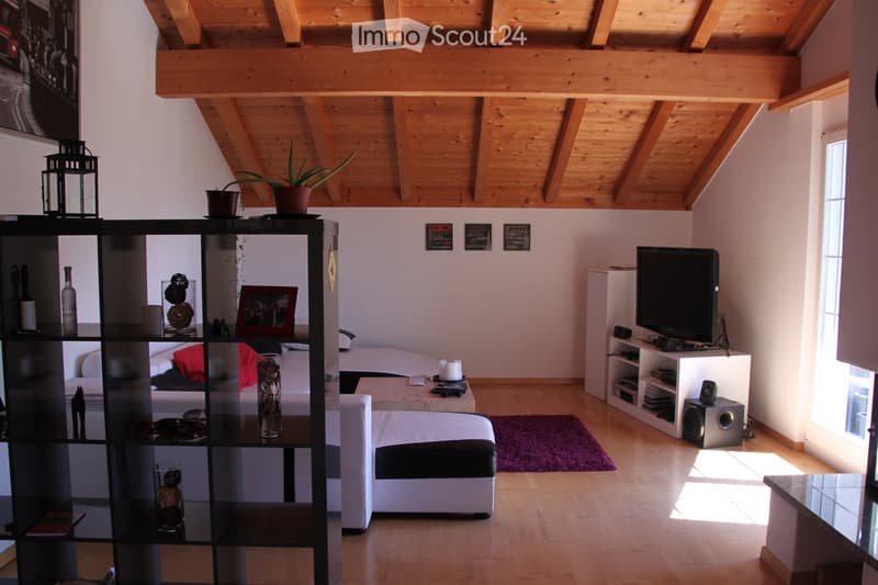 Modern and sunny attic apartment with panoramic views of the Bündner Rheintal (8)