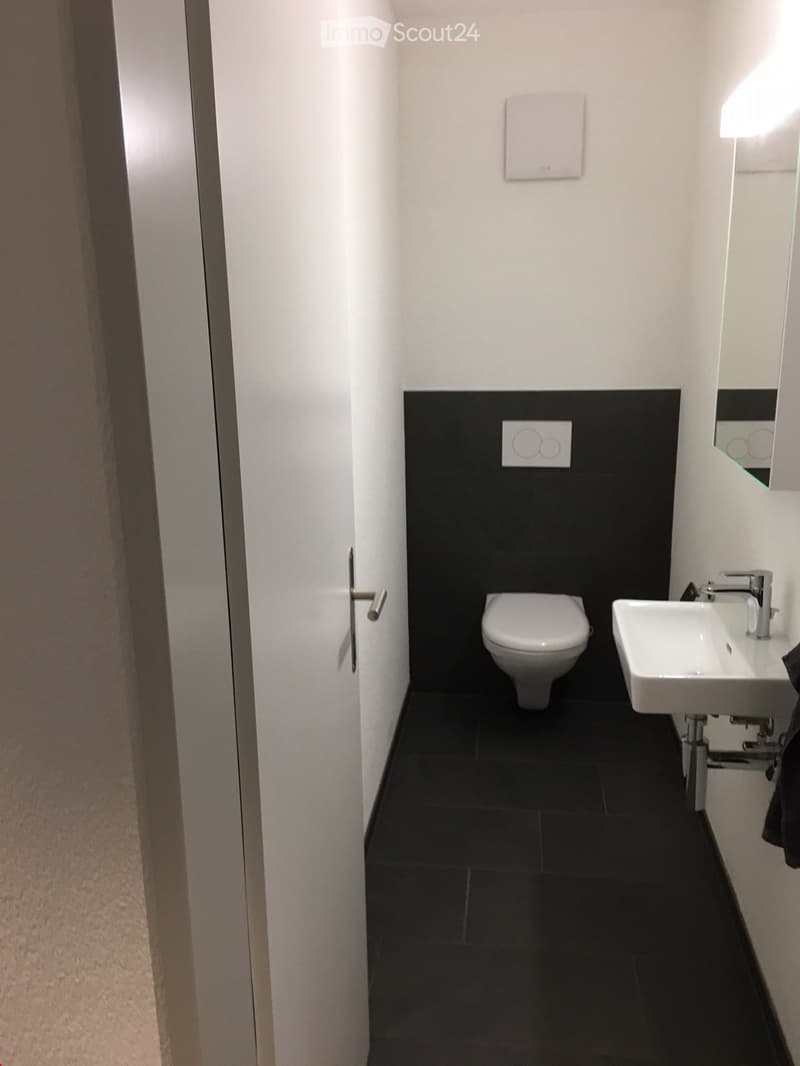 Modern bathroom with black tiled floor and walls, white toilet, white sink, and a mirror above the sink.