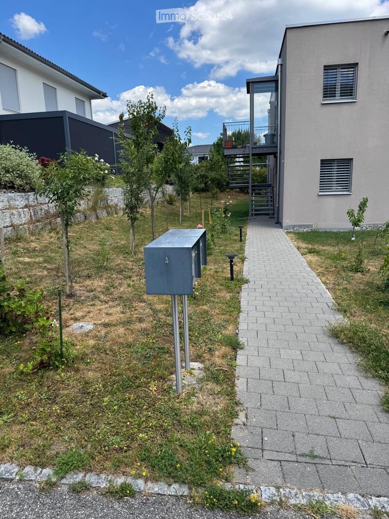 Garden area with a paved pathway leading to a modern house, featuring small plants, trees, and a mailbox.