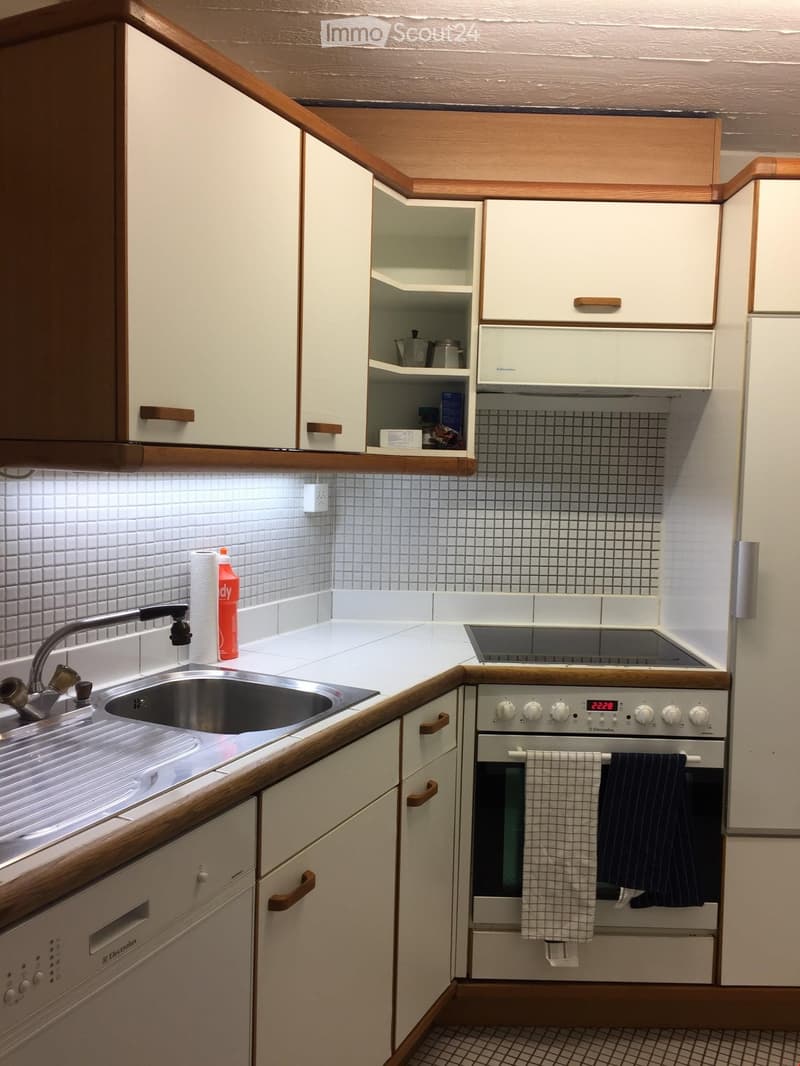 Compact kitchen with white cabinets, wooden trim, tiled backsplash, stainless steel sink, and built-in appliances including a dishwasher and washing machine.
