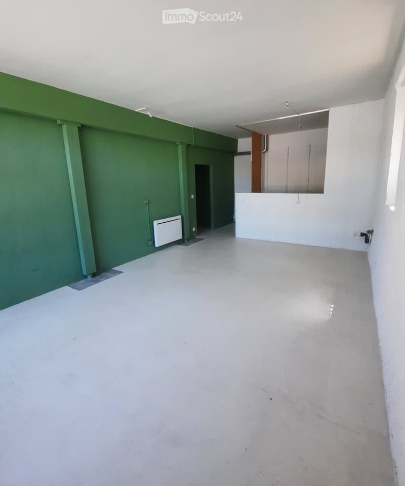 Empty room with green and white walls, concrete floor, and a small white radiator on the left side.