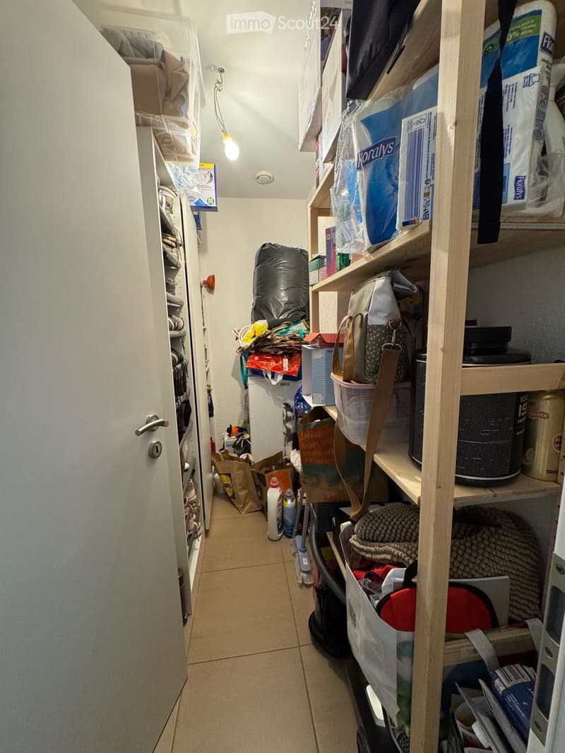 A narrow hallway with wooden shelves on the right side, containing various household items such as cleaning supplies, bags, and boxes. The left side features a built-in closet with multiple shelves holding folded clothes and other stored items. The floor